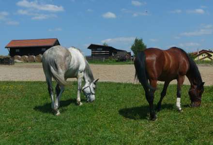 Pony ranč Vrablovec