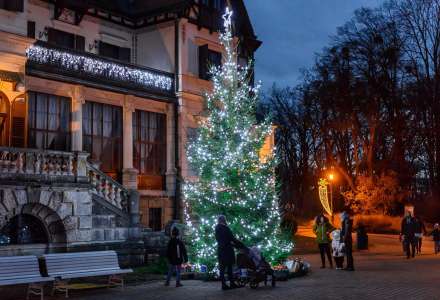 Rozsvícení vánočního stromu a světelné vánoční výzdoby