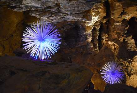 Výstava DNA ve Zbrašovských jeskyních