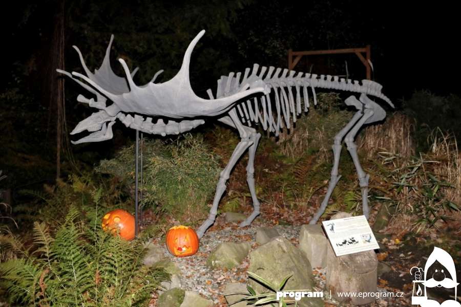Halloween a lampionový průvod v ostravské zoo