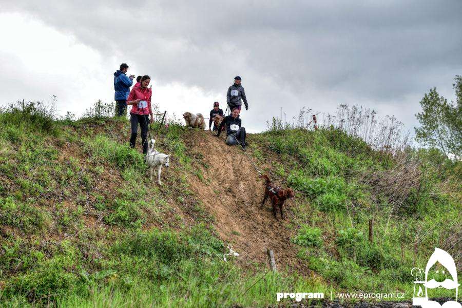 Mazlíkiáda 2020 - charitativní psí závod v Ostravě se uskuteční už tuto sobotu!