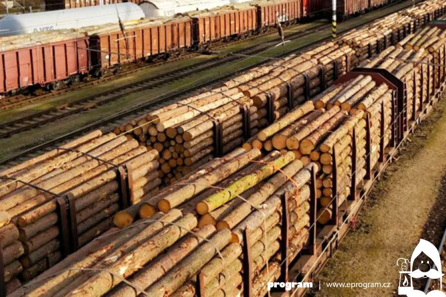 Česká republika dle odhadu přichází vývozem neopracovaného dřeva nízké přidané hodnoty o zhruba 60 miliard korun ročně. Ilustrační foto: Pixabay.com