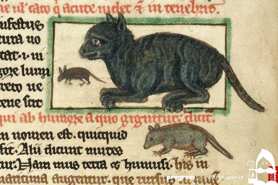 Byly kočky oblíbené ve středověku?