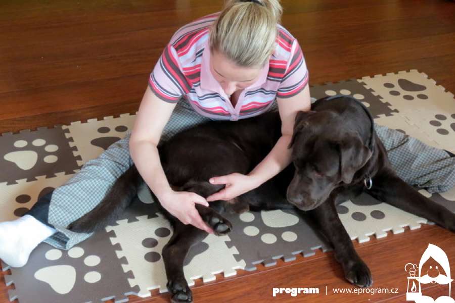 3.díl/Rehabky pro tlapky: Pes s ortopedickými potížemi