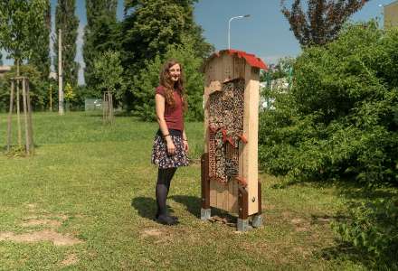 Další originální velké hmyzí domky v Ostravě