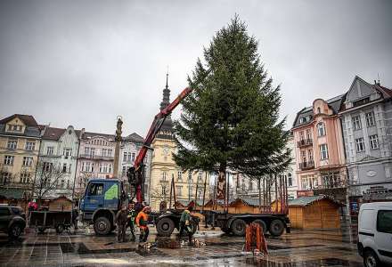 Centrum Ostravy bude po letech opět zdobit živý vánoční strom