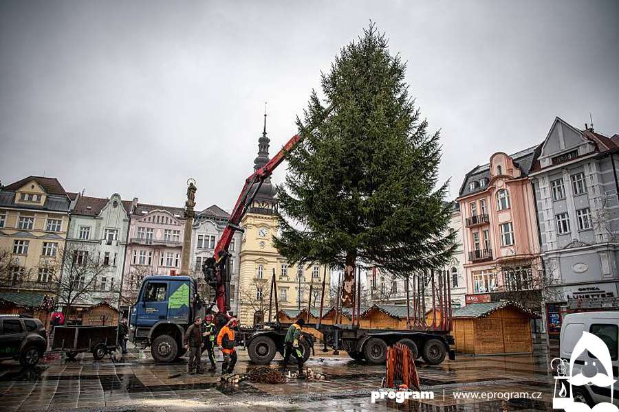 Centrum Ostravy bude po letech opět zdobit živý vánoční strom