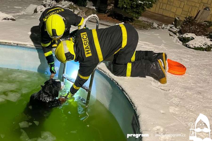 Hasiči zachránili v Bašce salašnického psa z ledového bazénku
