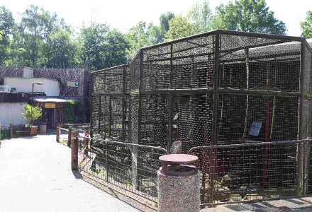 Část železných klecí u starého pavilonu primátů bylo odstraněno