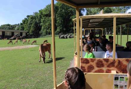 V Zoo Ostrava byl zahájen druhý turnus Letní školy. Zoo ji pořádá už 50 let!