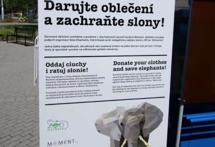 Darujte nepotřebné oblečení a zachraňte slony v Africe!