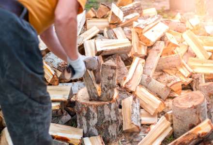 Palivové dřevo - topivo staré jako lidstvo samo